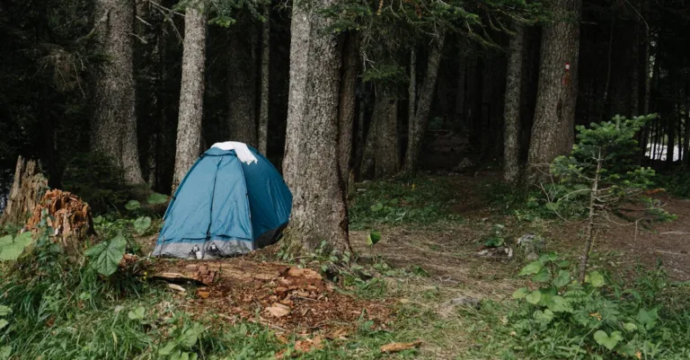 découvrez les meilleurs campings pour des vacances en pleine nature, alliant confort et convivialité. profitez d'activités en plein air, de paysages magnifiques et d'un cadre idéal pour toute la famille.