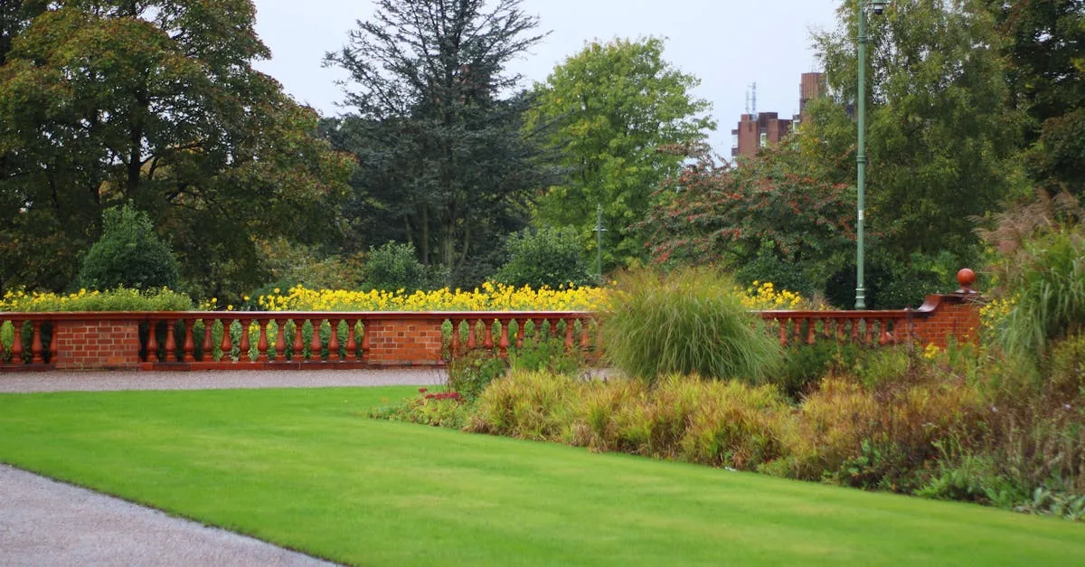 découvrez les inconvénients de la pelouse anglaise, ses défis d'entretien et les alternatives possibles pour un jardin plus adapté.