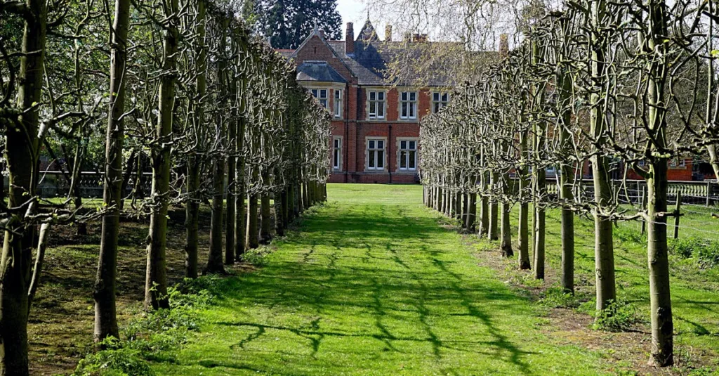 découvrez les inconvénients des pelouses anglaises, leurs défis d'entretien, les coûts associés et les alternatives possibles pour un jardin plus adapté.