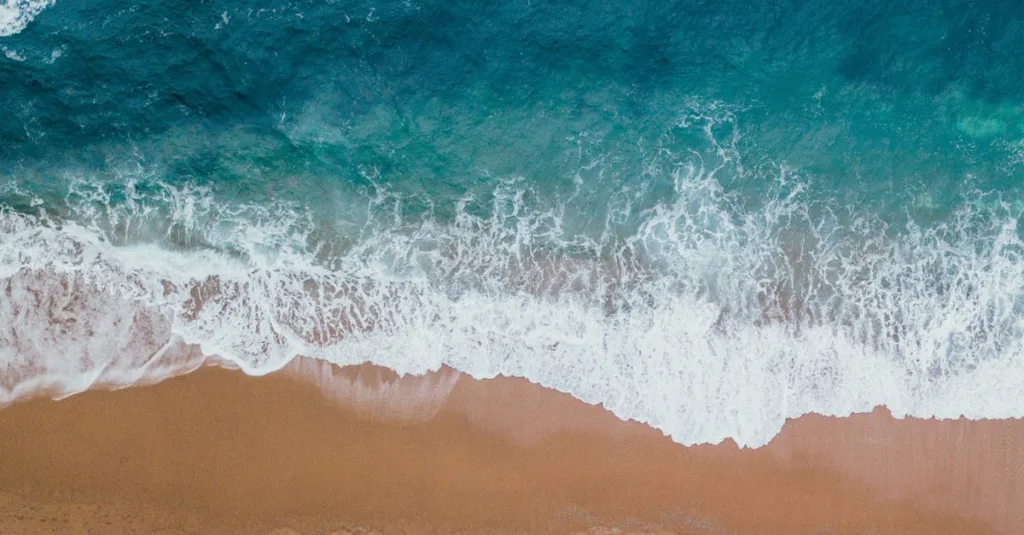 découvrez les dangers potentiels des éponges en mélamine et comment les utiliser en toute sécurité pour éviter tout risque pour la santé.