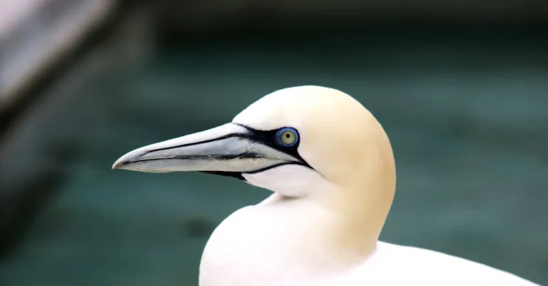 découvrez les critères d'éligibilité pour accéder à nos formations et développez vos compétences efficacement.