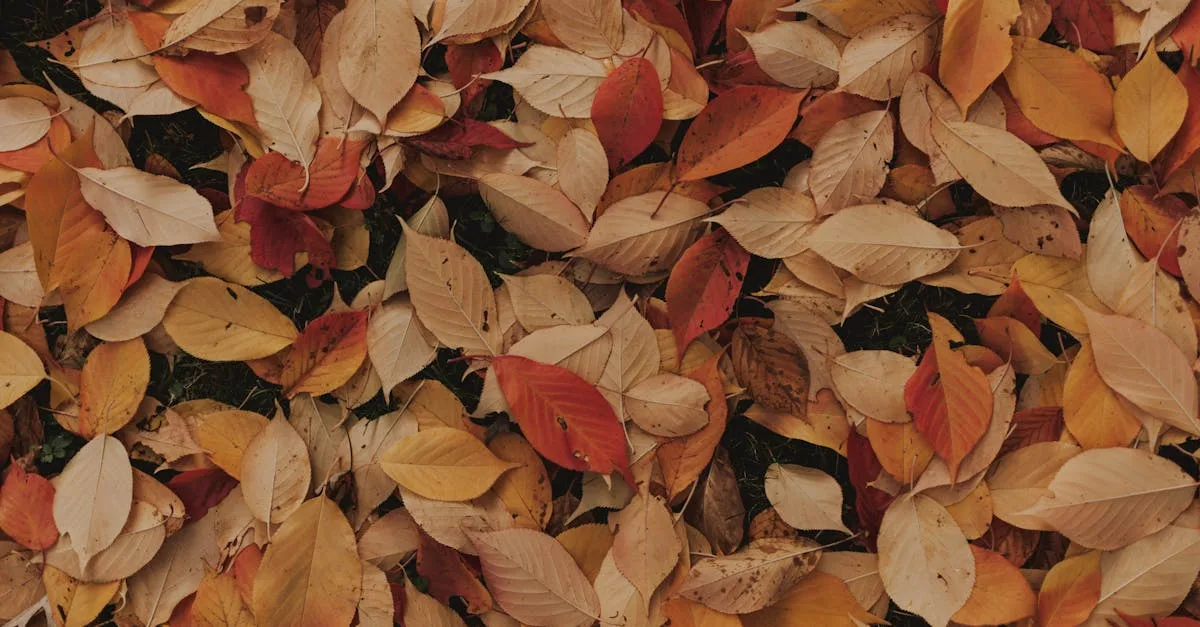 découvrez les causes possibles des feuilles jaunissantes et apprenez comment traiter ce problème pour garder vos plantes en bonne santé.