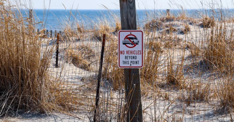 découvrez quelles plages éviter pour profiter d'un séjour sûr et agréable, en évitant les zones à risques, la pollution et les dangers potentiels.
