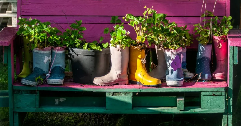 découvrez des idées de jardin inspirantes pour embellir votre espace extérieur avec des conseils de décoration, d'aménagement et de plantations.