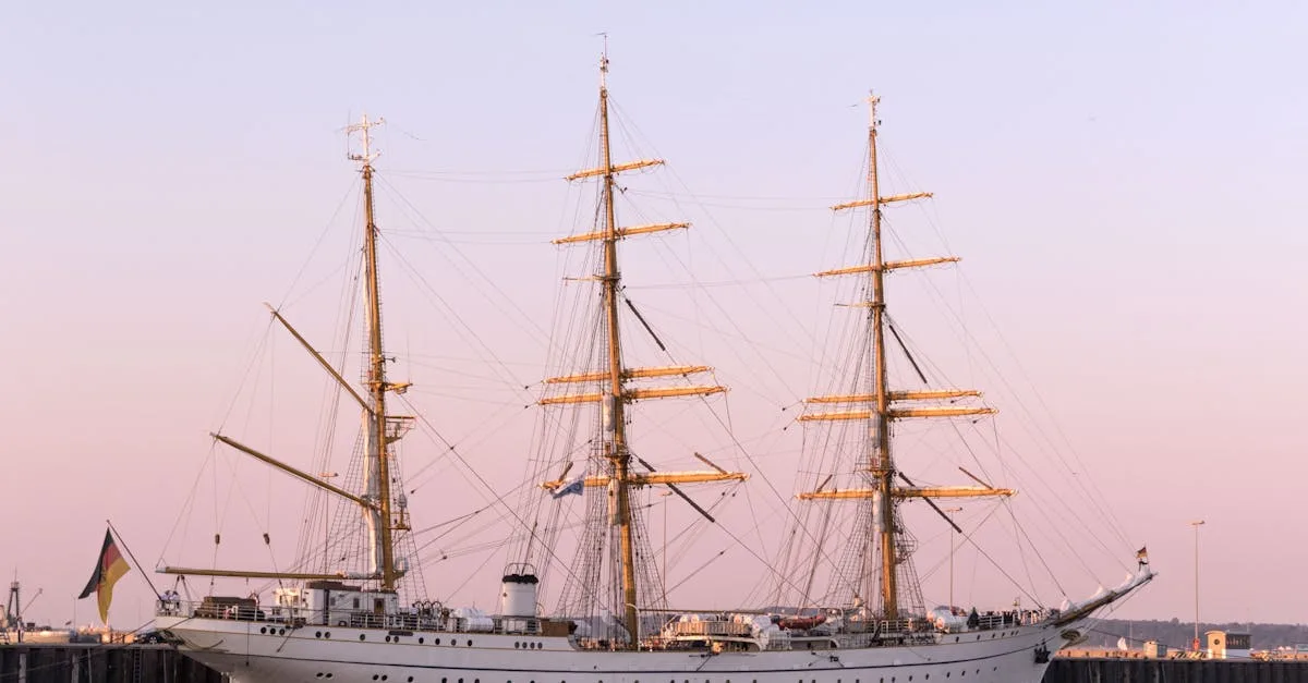 découvrez le land sailing, un sport de glisse accessible et écologique qui combine vitesse et sensations fortes sur terre grâce à un char à voile.