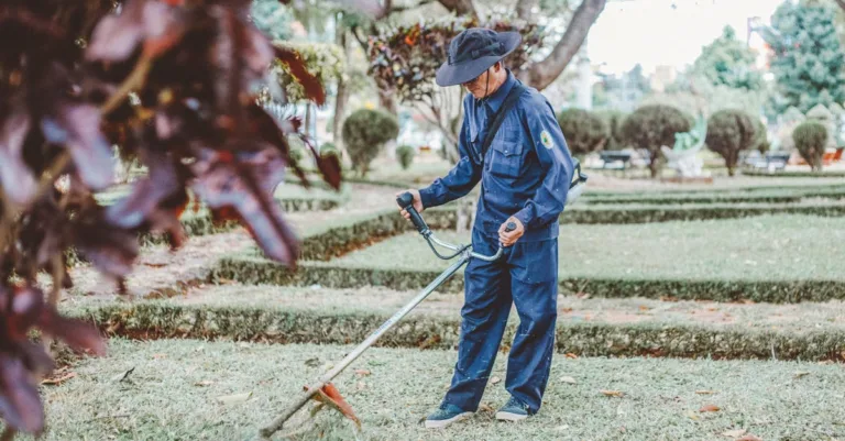 services professionnels d'entretien de jardin pour un espace extérieur toujours propre et soigné.