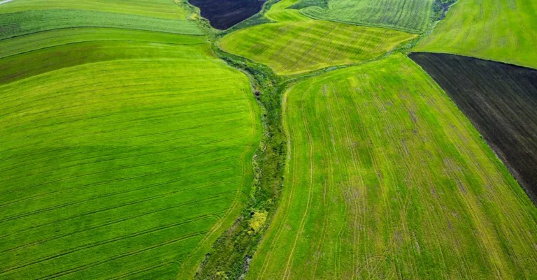 découvrez l'agriculture écologique, une méthode durable qui respecte l'environnement et favorise la biodiversité pour une production alimentaire saine et responsable.