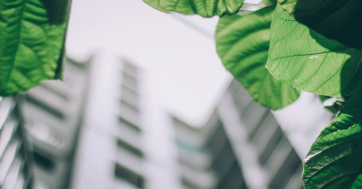 découvrez les réglementations environnementales essentielles pour protéger la nature et assurer un développement durable. informez-vous sur les lois et normes en vigueur.