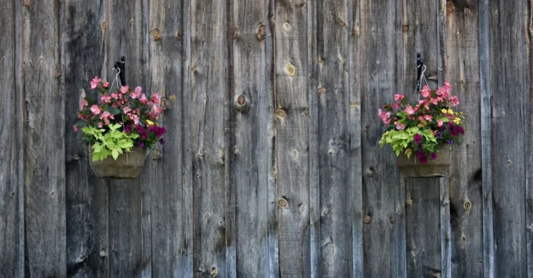 découvrez notre sélection élégante de flowerpots pour sublimer vos plantes et décorer votre intérieur avec style.