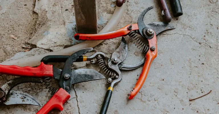 découvrez la fiabilité des outils de jardin pour un entretien efficace et durable de votre espace extérieur.