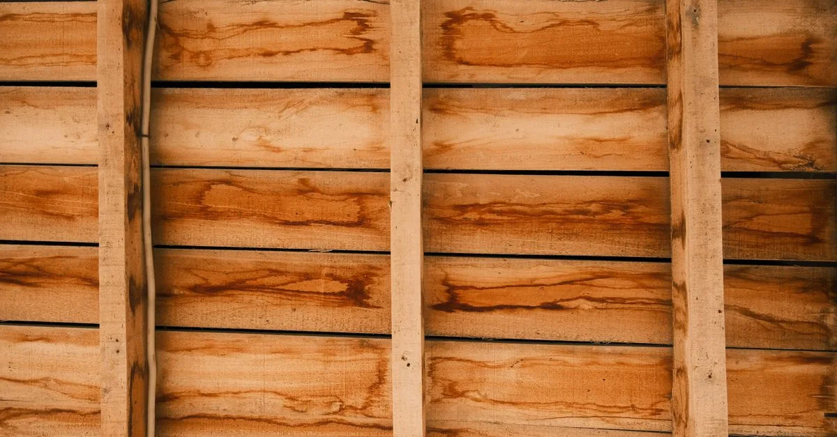 découvrez nos solutions de protection pour le bois avec des teintures de haute qualité, offrant durabilité et résistance aux intempéries tout en sublimant l'aspect naturel du bois.