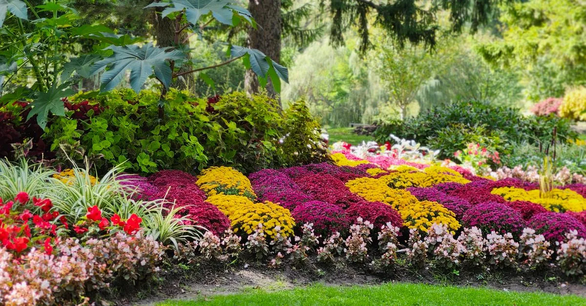 découvrez nos conseils et idées innovantes pour un design de jardin à la fois esthétique et fonctionnel, adapté à tous les styles et espaces.