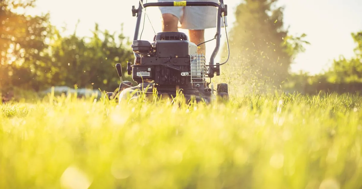 découvrez la fiabilité des tondeuses à gazon gardena, reconnues pour leur performance durable et leur facilité d'utilisation pour un jardin toujours impeccable.