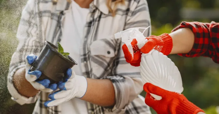 découvrez nos conseils de jardinage pratiques et faciles pour faire pousser vos plantes avec succès toute l'année.