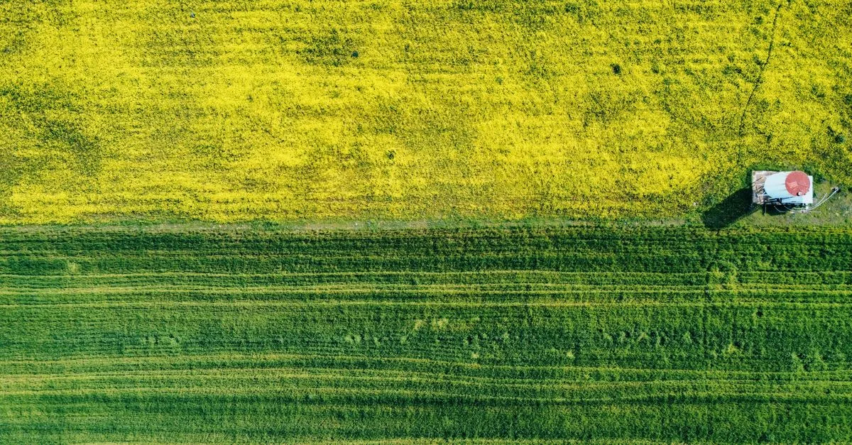 découvrez les conditions d'achat du glyphosate en espagne, incluant les réglementations, restrictions et conseils pour un achat sécurisé.