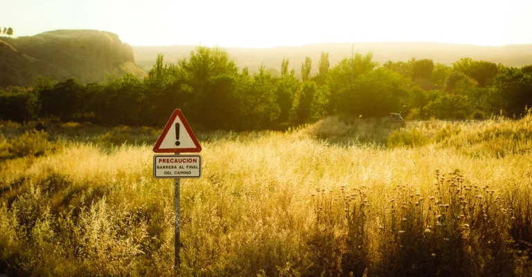découvrez les conditions d'achat du glyphosate en espagne, incluant les réglementations, restrictions et conseils pour un usage sécurisé.