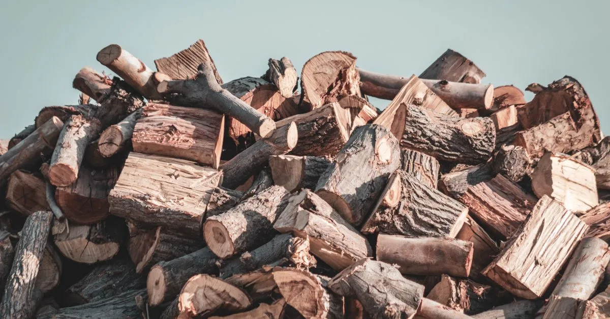 découvrez les prix du bois de chauffage pour cette saison, comparez les offres et trouvez le meilleur rapport qualité-prix pour chauffer votre maison efficacement.