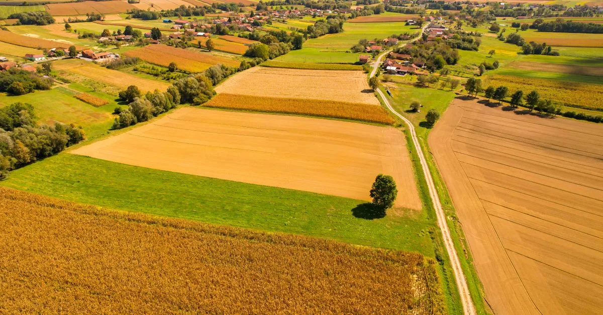 découvrez tout sur la propriété foncière : droits, responsabilités et démarches pour devenir propriétaire de terrains.